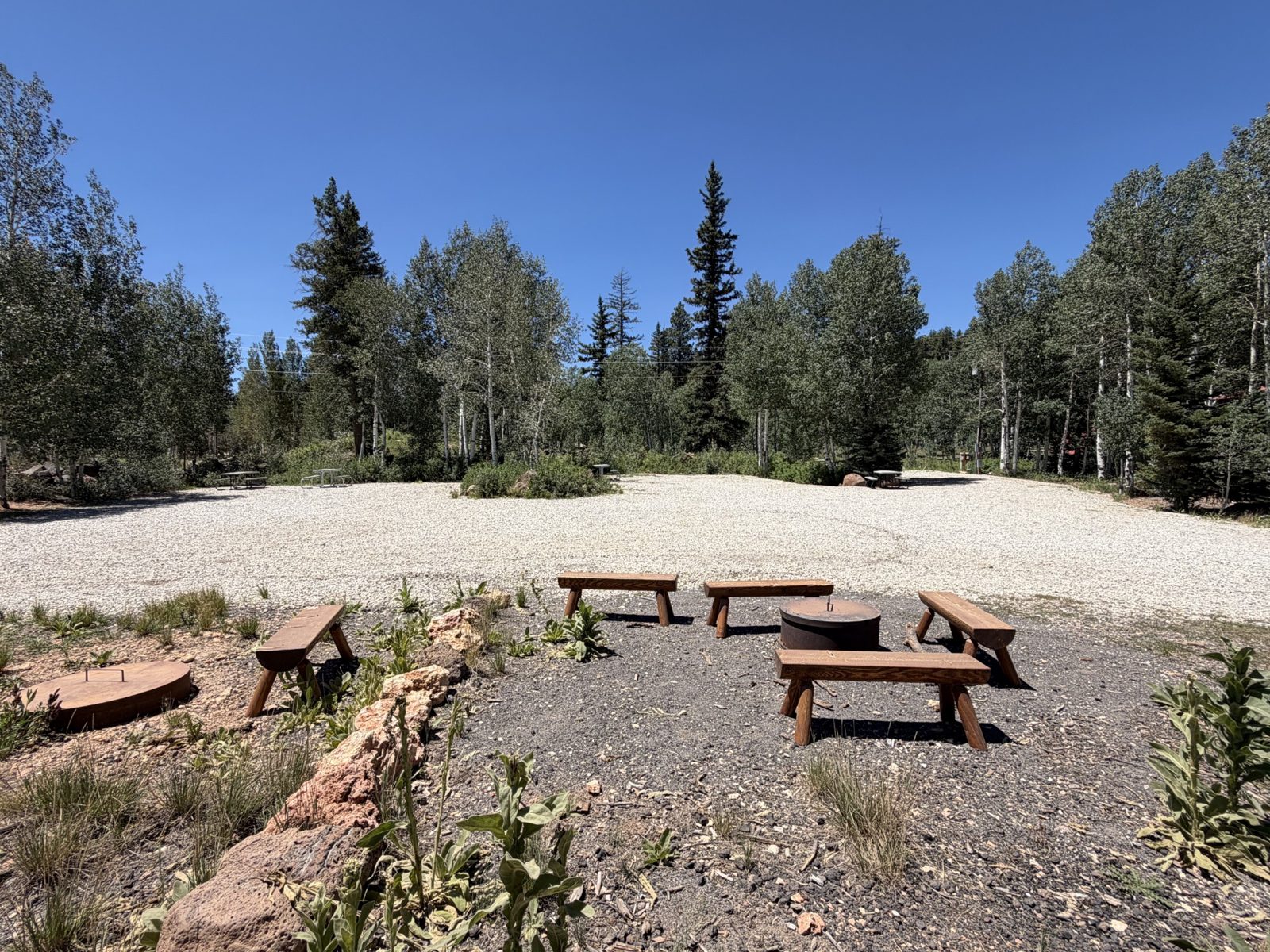 Wide view of gravel RV spaces and surrounding trees