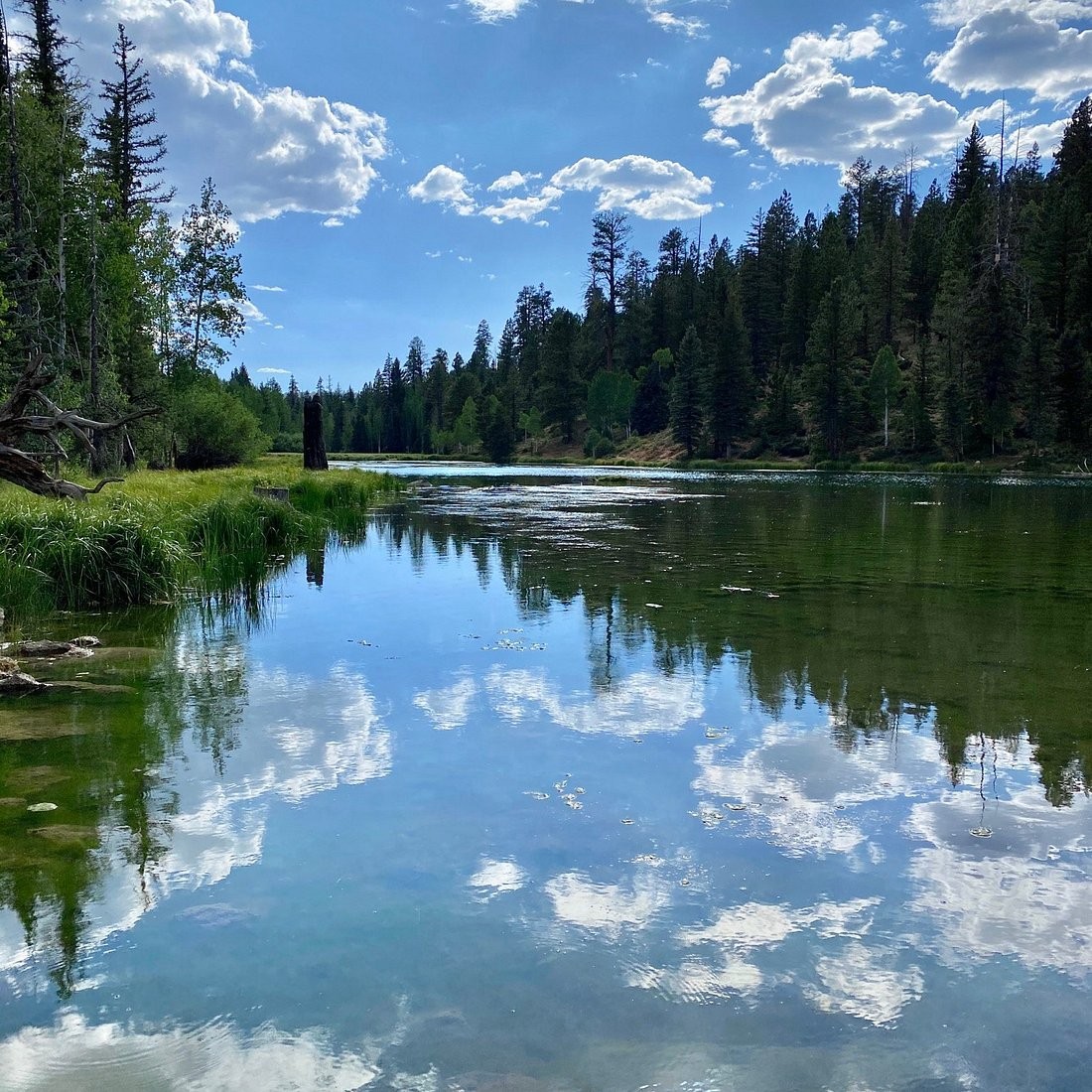 Aspen Mirror Lake beneath a blue sky with forest along the shoreline